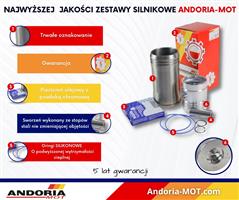 Zestaw naprawczy silnika 102 3-pierścieniowy komora 55 71010303 Zetor ANDORIA 72110099AM