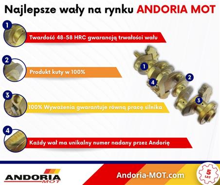 Wał korbowy kuty hartowany SW400 Azotowany ANDORIA 02300000006AM