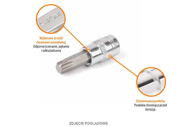 Klucz nasadowy 1/4" z bitem TORX 37 mm/T8 /TEGER