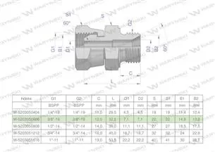 Złączka hydrauliczna calowa AB 3/8" BSP (XKOR) Waryński ( sprzedawane po 2 )