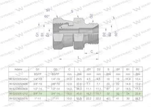 Złączka hydrauliczna calowa AB 3/4" BSP (XKOR) Waryński ( sprzedawane po 2 )