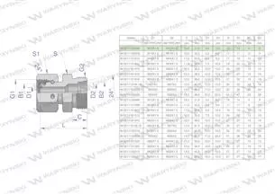Złączka hydrauliczna metryczna AB (XKOR) A-M12x1.5 06L / B-M12x1.5 06L Waryński ( sprzedawane po 2 )