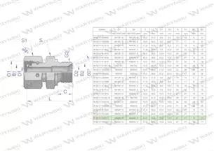 Złączka hydrauliczna metryczna AB (XKOR) A-M22x1.5 15L / B-M20x1.5 (60 stopni) Waryński ( sprzedawane po 2 )