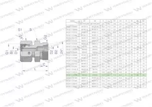 Złączka hydrauliczna metryczna AB (XKOR) A-M30x2 22L / B-M36x2 28L Waryński