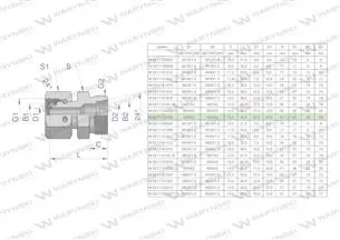 Złączka hydrauliczna metryczna AB (XKOR) A-M36x2 28L / B-M36x2 28L Waryński