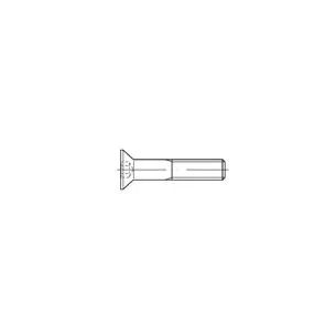 Śruba imbus montażowa do noży paszowozów dwuczęsciowych Trioliet-Mullos M8x25,10,9