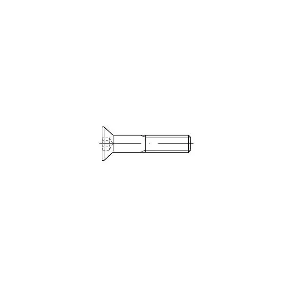 Śruba imbus montażowa do noży paszowozów dwuczęsciowych Trioliet-Mullos M8x25,10,9