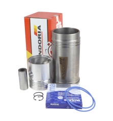 Zestaw naprawczy silnika FI-100 4-pierścienie Zetor ANDORIA 60110099AM