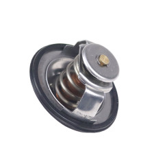 Termostat silnika 81C 60,5mm z uszczelką ANDORIA 2856541AM