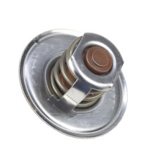 Termostat silnika Ford ANDORIA 8396917AM