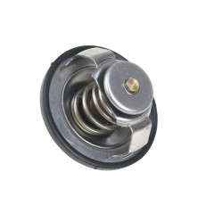 Termostat silnika 81C 60,5mm C2.8116 ANDORIA 87803070AM