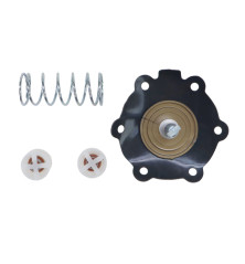 Zestaw naprawczy pompki zasilającej 47PMOP3R MF3 ANDORIA 2641724.1AM