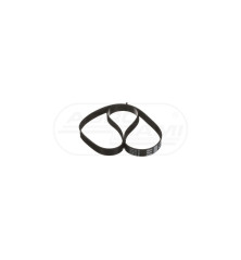 Pasek wentylatora 8PK1440 504009874, , 85826230, 87630521 Case Ih CNH