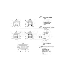 Reflektor LEDF 4F P K1 218X146 EGV1.54072.01