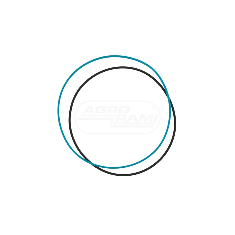 Uszczelka sprzęgła 5137563, , 5112336 Case Ih CNH