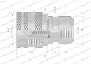 Szybkozłącze hydrauliczne skręcane wtyczka G1/2"BSP gwint wewnętrzny 300bar Waryński
