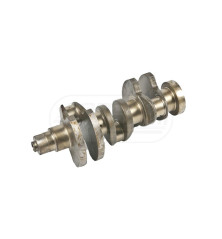 Wał korbowy silnika F3L1011 21/1-201? 4270229, 02928289, BF3L1011 Deutz-fahr