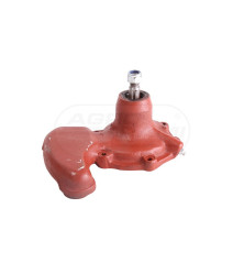 Pompa wody PL0141/DZ Bizon