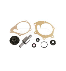 Zestaw naprawczy pompy 20/131-87 K965888 20/131-87 Case Ih David Brown