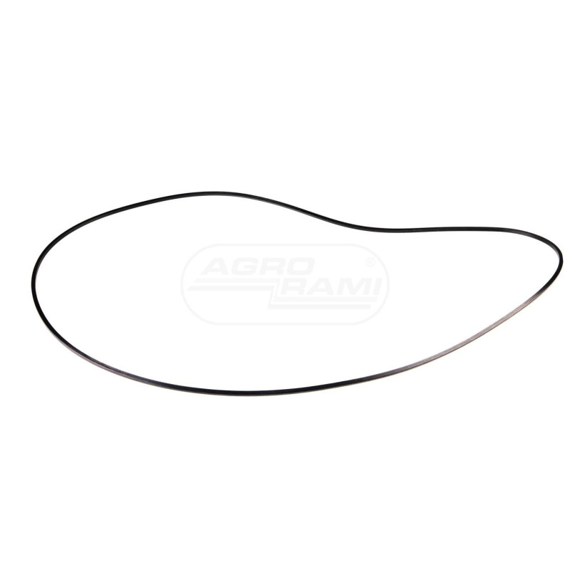 O-ring 5109460 Case Ih CNH