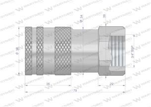 Szybkozłącze hydrauliczne suchoodcinające (rozmiar 1/2) gniazdo G3/4"BSP gwint wewnętrzny ISO16028 Waryński