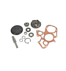 Kpl.napr.pompy 30/131-198 4224047M91 Massey Ferguson Landini