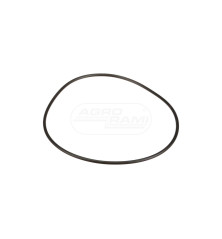 O-ring 14469880, U2830421, S5873, P3230424 Case Ih CNH
