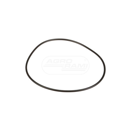 O-ring 14469880, U2830421, S5873, P3230424 Case Ih CNH