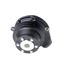 Pompa wodna SW-680 PLM-0916 Bizon