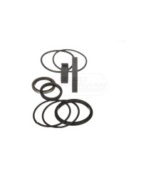 Zestaw Uszczelek 86570931 New Holland Case Ih CNH