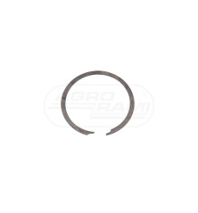 PIERSCIEN SPR 81863684 New Holland Case Ih CNH