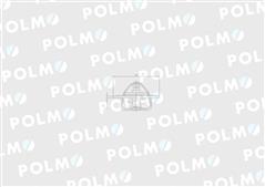 Termostat SW400 Bizon POLMO