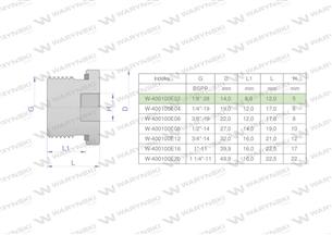 Korek hydrauliczny calowy (na imbus) 1/8" BSP ED Waryński ( sprzedawane po 10 )-168954