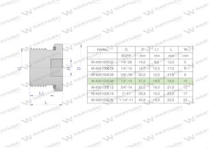 Korek hydrauliczny calowy (na imbus) 1/2" BSP ED Waryński ( sprzedawane po 10 )-168972