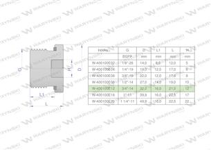 Korek hydrauliczny calowy (na imbus) 3/4" BSP ED Waryński ( sprzedawane po 5 )-168977