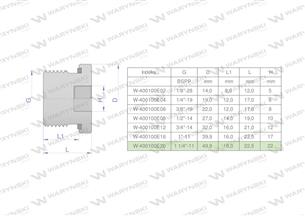 Korek hydrauliczny calowy (na imbus) 1 1/4" BSP ED Waryński-168987