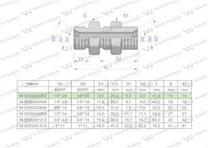 Złączka hydrauliczna calowa grodziowa BB 1/8" BSP z przeciwnakrętką (XSV) Waryński ( sprzedawane po 2 )-168622