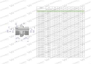 Przyłączka hydrauliczna BB (XGE) M12x1.5 06L x 1/8" BSP ED Waryński ( sprzedawane po 10 )