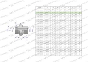 Przyłączka hydrauliczna BB (XGE) M12x1.5 06L x 1/4" BSP ED Waryński ( sprzedawane po 5 )-170086