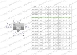 Przyłączka hydrauliczna BB (XGE) M14x1.5 08L x 3/8" BSP ED Waryński ( sprzedawane po 5 )-170109