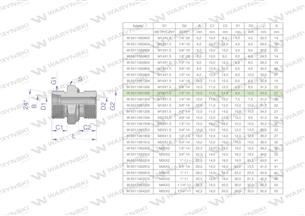 Przyłączka hydrauliczna BB (XGE) M16x1.5 10L x 1/2" BSP ED Waryński ( sprzedawane po 10 )-170051