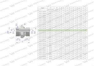 Przyłączka hydrauliczna BB (XGE) M18x1.5 12L x 1/4" BSP ED Waryński ( sprzedawane po 10 )-170133