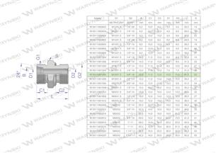 Przyłączka hydrauliczna BB (XGE) M18x1.5 12L x 3/8" BSP ED Waryński ( sprzedawane po 10 )-170045