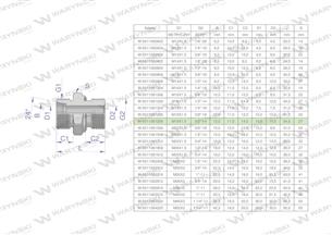 Przyłączka hydrauliczna BB (XGE) M18x1.5 12L x 1/2" BSP ED Waryński ( sprzedawane po 50 )