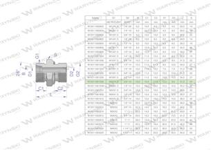 Przyłączka hydrauliczna BB (XGE) M22x1.5 15L x 3/8" BSP ED Waryński ( sprzedawane po 10 )-170068