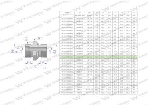 Przyłączka hydrauliczna BB (XGE) M22x1.5 15L x 3/8" BSP ED Waryński ( sprzedawane po 50 )