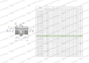 Przyłączka hydrauliczna BB (XGE) M22x1.5 15L x 1/2" BSP ED Waryński ( sprzedawane po 10 )-170062