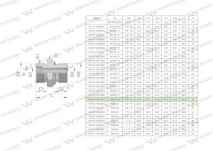 Przyłączka hydrauliczna BB (XGE) M26x1.5 18L x 3/4" BSP ED Waryński ( sprzedawane po 2 )-170145