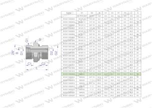 Przyłączka hydrauliczna BB (XGE) M30x2 22L x 1/2" BSP ED Waryński ( sprzedawane po 2 )-170150