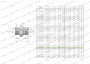 Przyłączka hydrauliczna BB (XGE) M30x2 22L x 1" BSP ED Waryński ( sprzedawane po 2 )-170162
